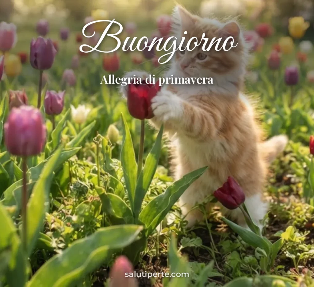 Gattino tra i tulipani