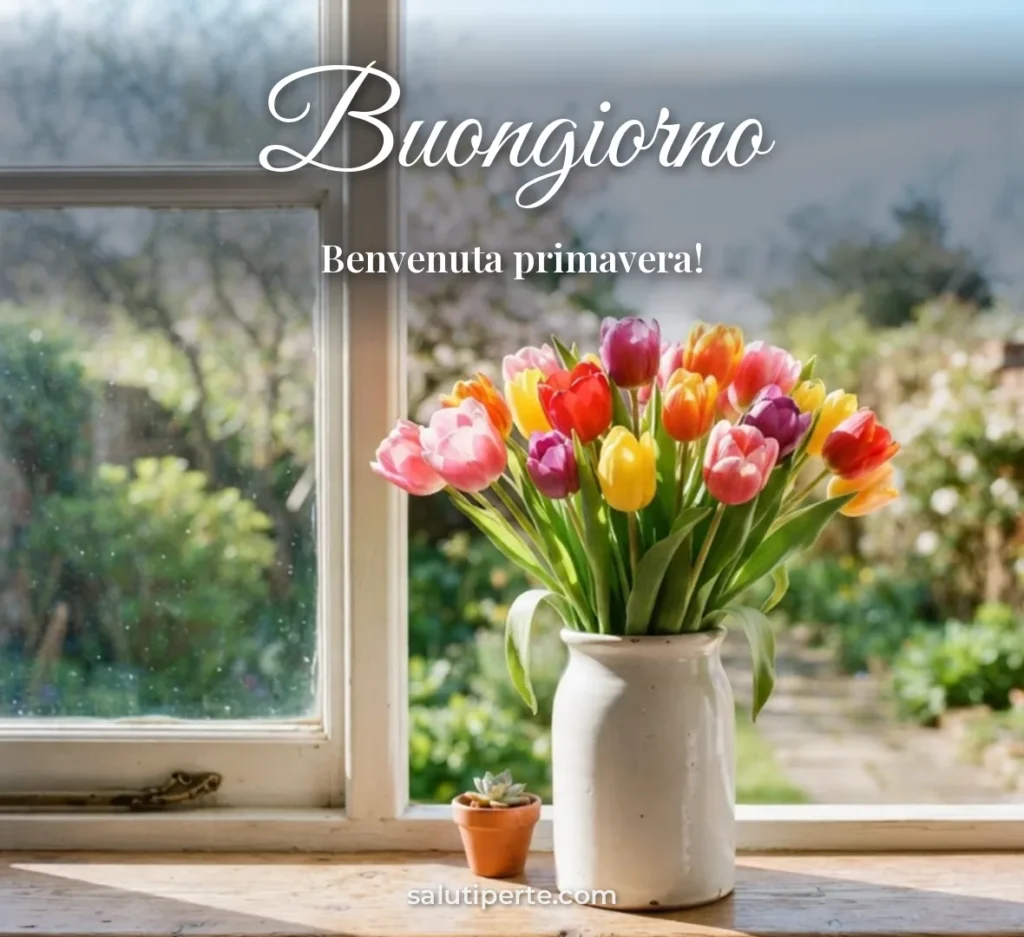 Tulipani colorati in un vaso al sole