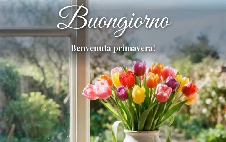 Tulipani colorati in un vaso al sole