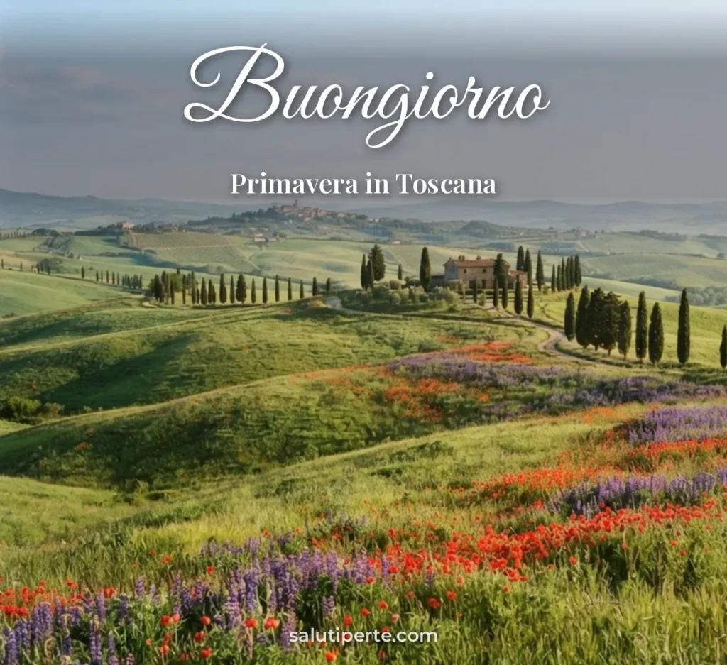 Colline toscane verdi con papaveri