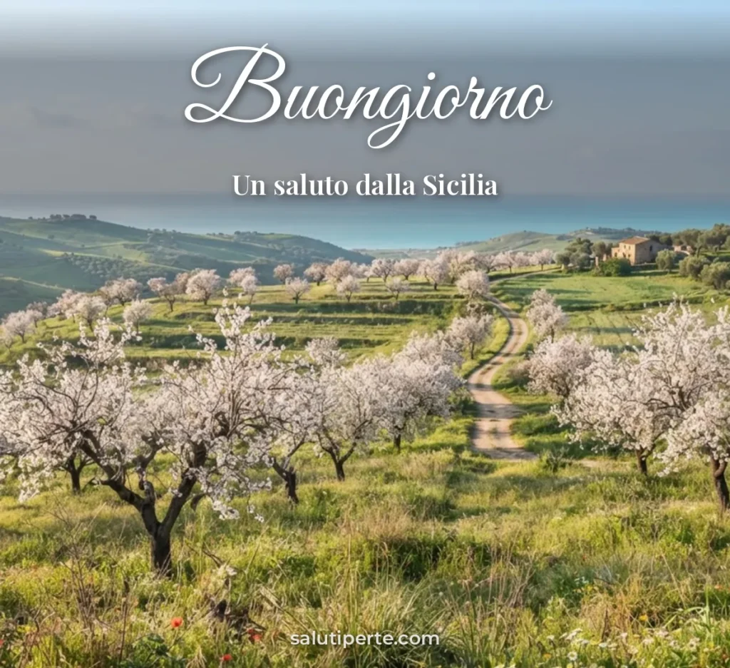 Mandorli in fiore in Sicilia