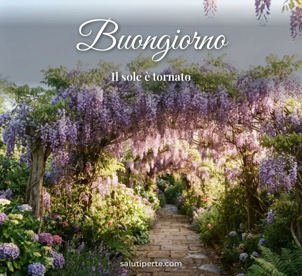 Sentiero tra glicini in fiore
