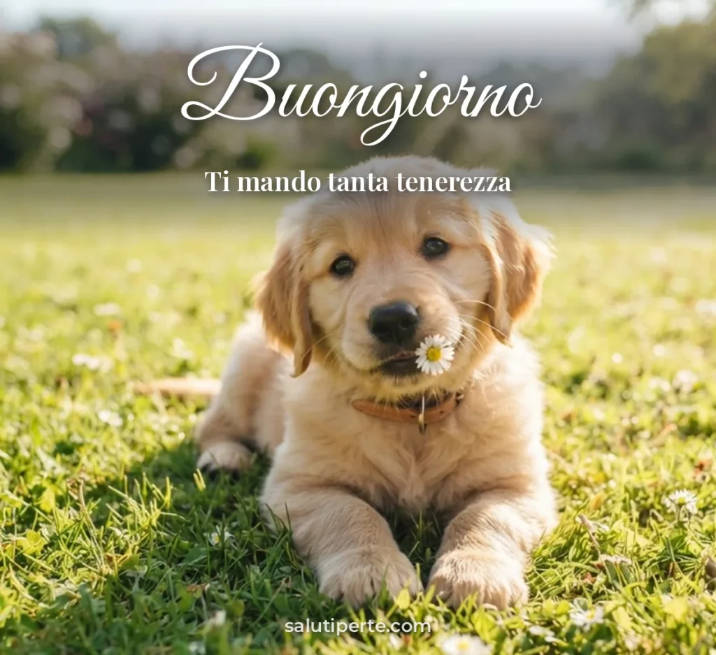 Cagnolino con un fiore in bocca