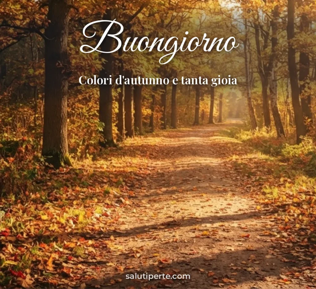Viale alberato con foglie dorate