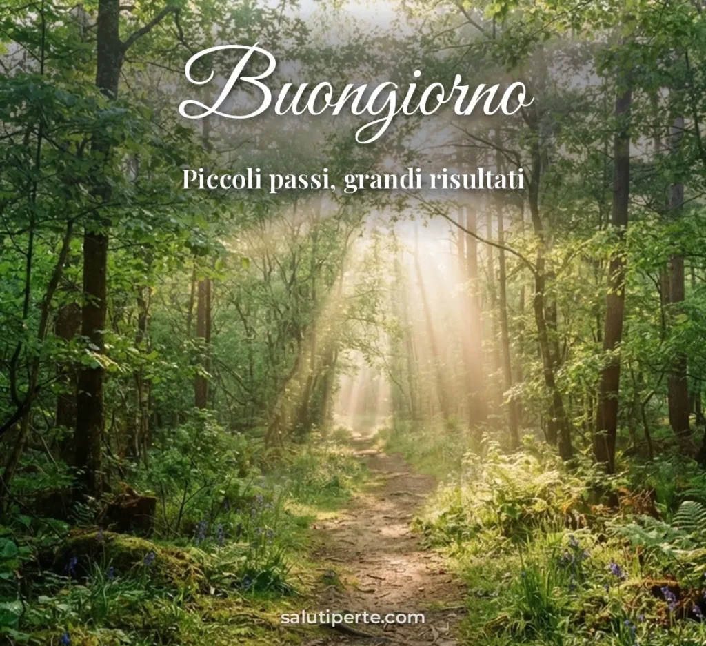 Sentiero nel bosco con luce del sole