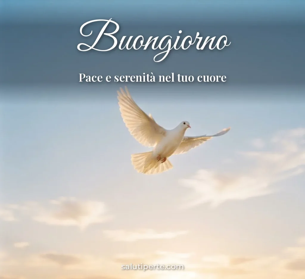 Colomba bianca nel cielo