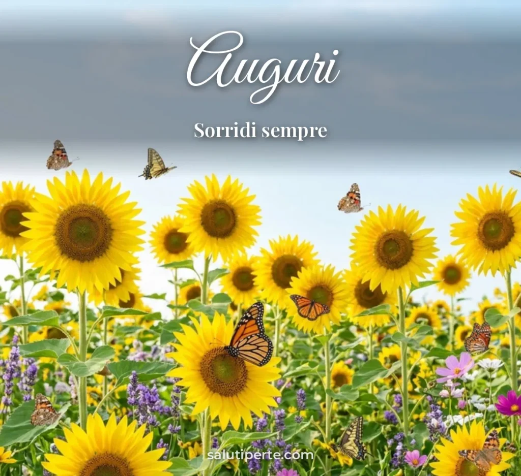 Girasoli e farfalle